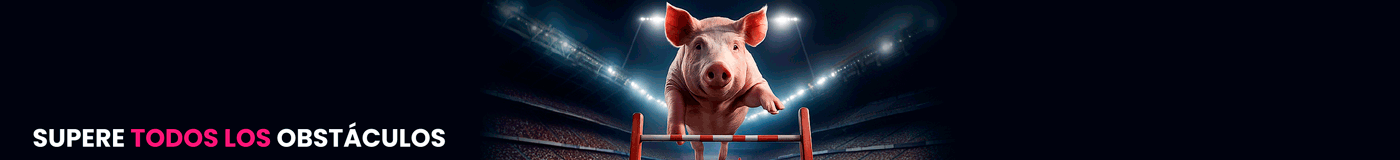 Banner D Provimi