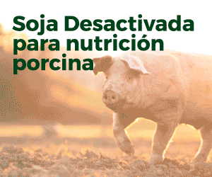 Insumos y Acopios del Sur