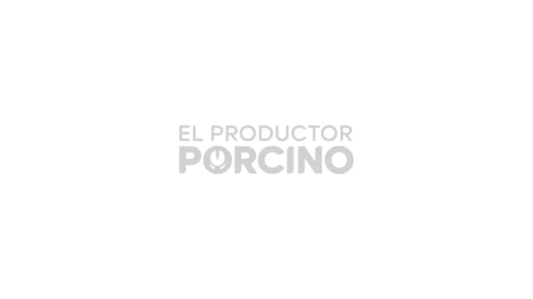 DE LA TORRE: EL SECTOR PORCINO ARGENTINO ESTÁ COMPROMETIDO CON MEJORAR LA SALUD