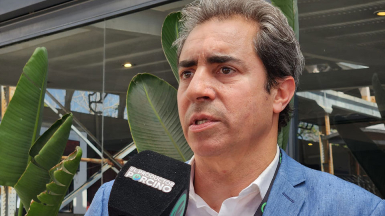 CADENA PORCINA: PRODUCTORES E INDUSTRIALES TRABAJARÁN JUNTOS 