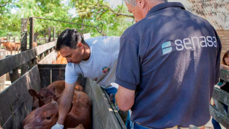 ARGENTINA PROHÍBE IMPORTACIONES DE ALEMANIA DE PRODUCTOS DE ORIGEN ANIMAL