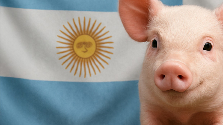 ARGENTINA ABRE MERCADO PORCINO EN FILIPINAS