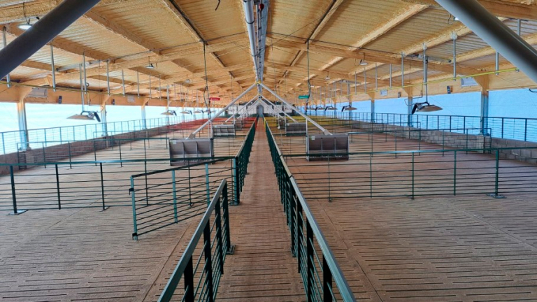 MILLONARIA INVERSIÓN PORCINA EN BOLÍVAR