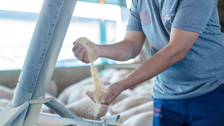CÓMO AFECTA LA CONVERSIÓN ALIMENTICIA A LA RENTABILIDAD 