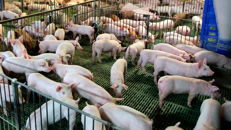 SUSTENTIA: LA IA DE BIOTER PARA OPTIMIZAR LA PRODUCCIÓN