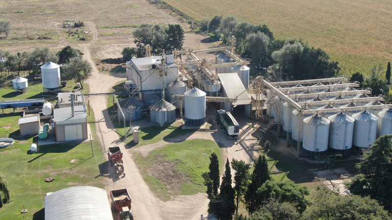 CRECE LA PRODUCCIÓN DE SOJA DESACTIVADA POR VAPOR PARA PORCINOS