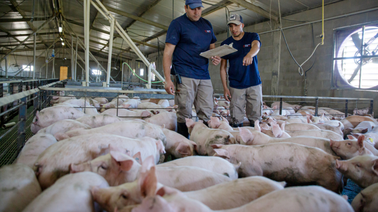 EQUIPOS DE ALTO DESEMPEÑO, LA CLAVE PARA MEJORAR LA PRODUCTIVIDAD EN LAS GRANJAS