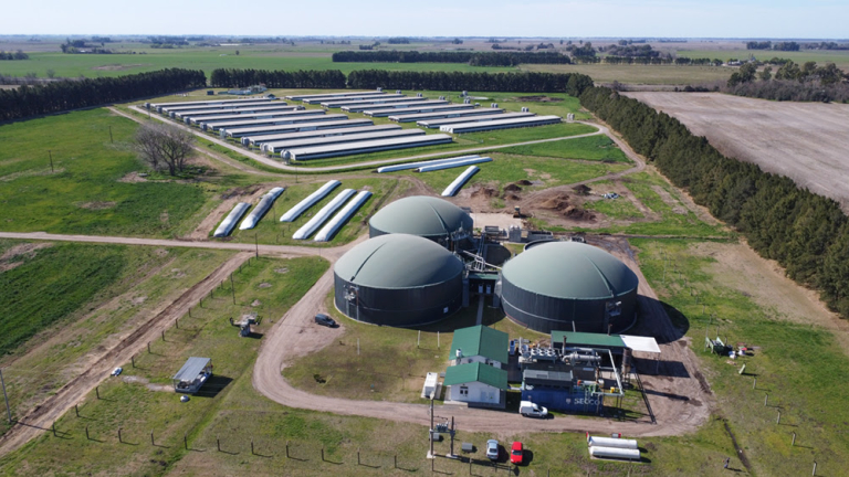 PACUCA CONSOLIDA UN MODELO DE ECONOMÍA CIRCULAR EN PORCINOS