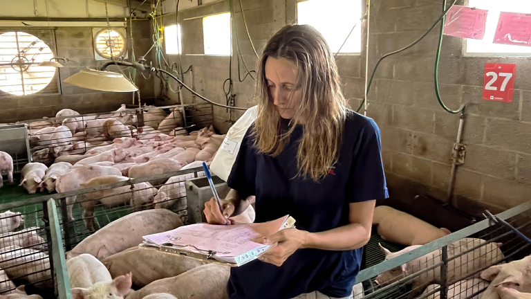 LA VARIABILIDAD DEFINE EL VALOR REAL DE LOS ENSAYOS EN GRANJA