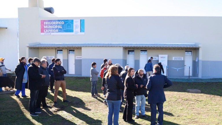 LOS PORCINOS DE LAPRIDA YA NO VIAJARÁN 300 KILÓMETROS